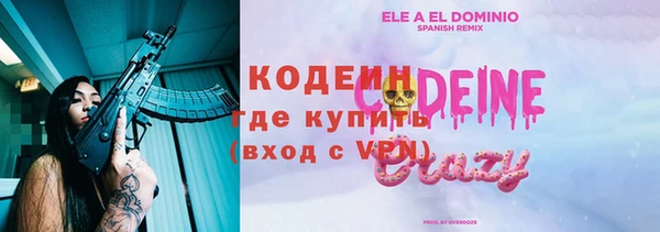 apvp Козельск