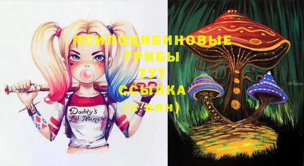 гидропоника Кодинск