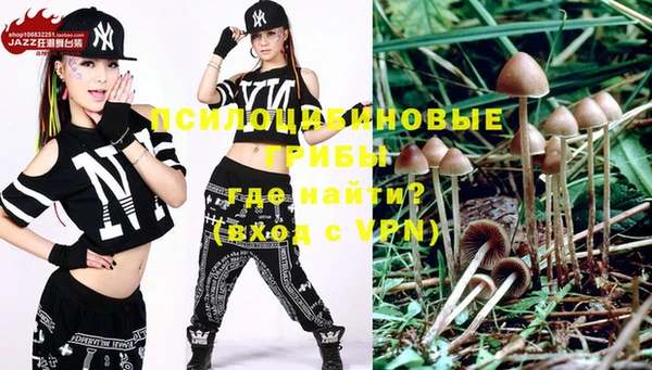 скорость Козловка